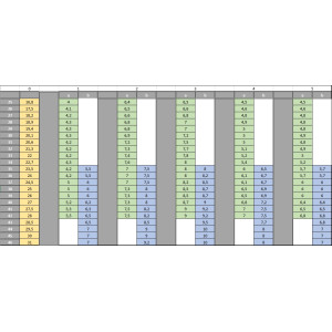 Wkładka Ortopedyczna Wyrównująca Wąska Prawa Skrót 1cm CORRECT H
